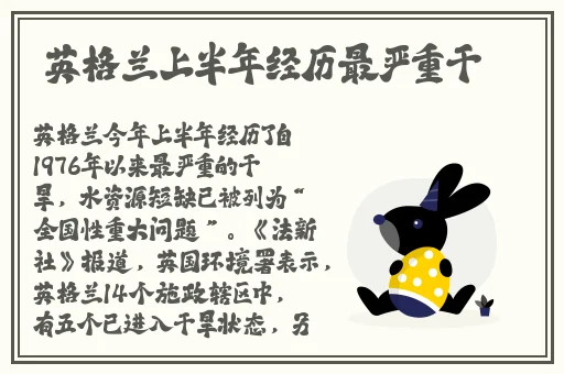 亏亏亏软件下载